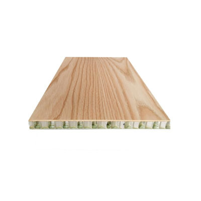 Top Quality PU Painting Indoor Fireproof Building Material Aluminum Honeycomb Core Panel