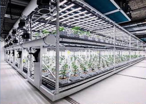 ระบบการปลูกน้ําแบบ Custom Aeroponics สําหรับการปลูก